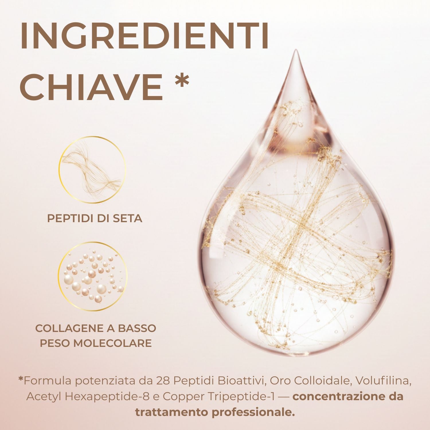 Ingredienti siero antirughe BioChroma peptidi di seta e collagene a basso peso molecolare 28 peptidi bioattivi
